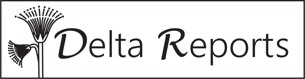 Delta Reports Logo